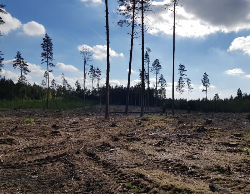 PRIIMTAS GAMTOS ATKŪRIMO REGLAMENTAS