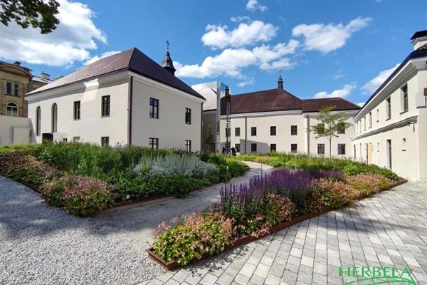 Želdinimo ir želdinių priežiūros darbai vidiniame kieme Vilniaus Bokšto g.