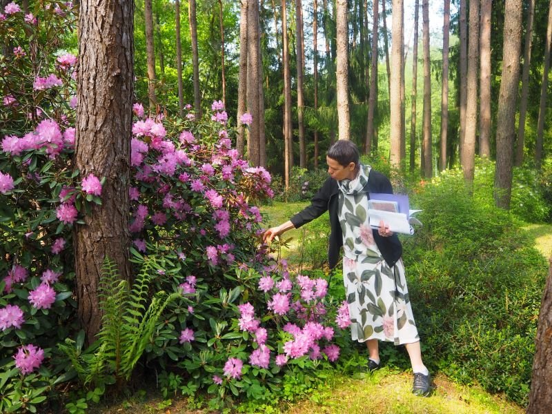 AKIMIRKOS IŠ SEMINARO „RODODENDRŲ AUGINIMAS IR PRIEŽIŪRA“