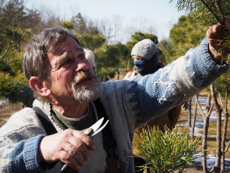 Mokymai DEKORATYVINIS AUGALŲ FORMAVIMAS