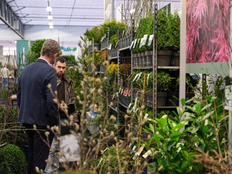 Europos dekoratyvinių augalų, medelynų produkcijos rudens mugė PLANTARIUM|GROEN 2026